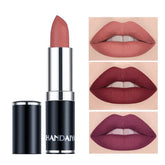 Matte Pink Velvet Lipstick Nude Red Brown Purple Lipgloss Gloss Velvety Lipstick